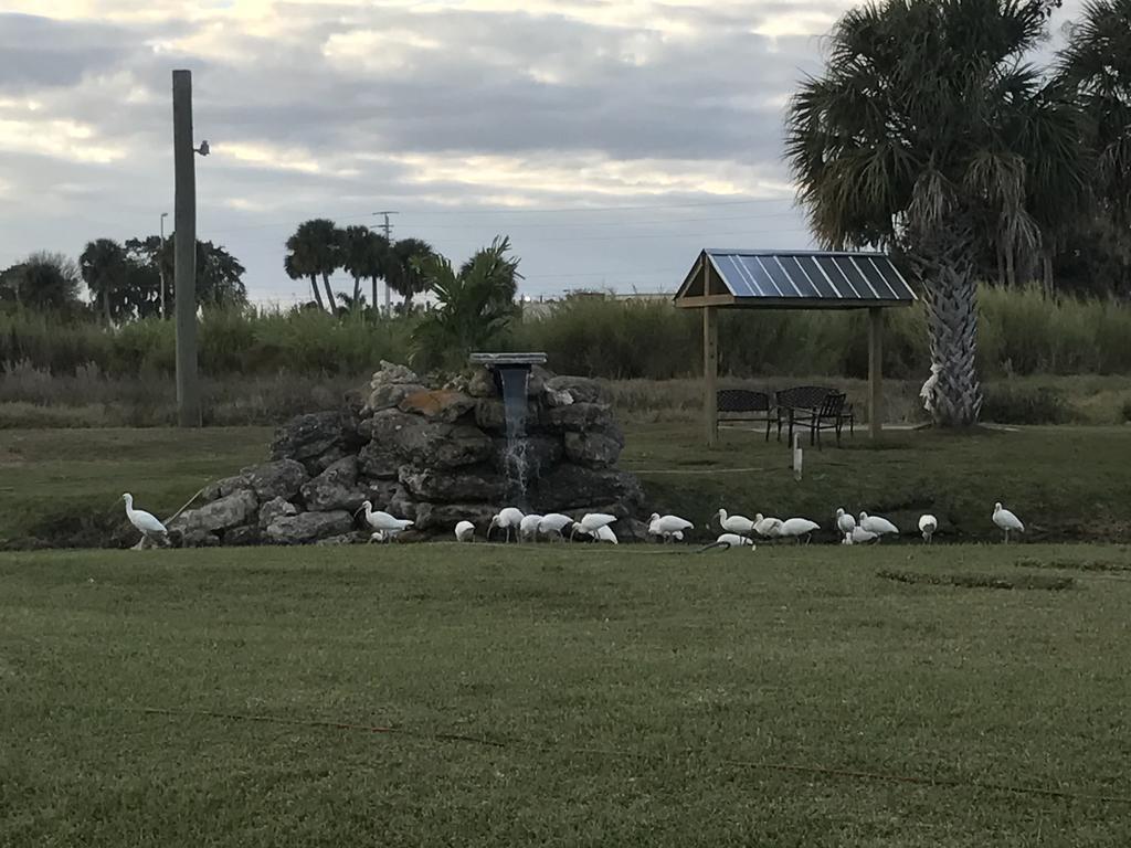 Days Inn & Suites By Wyndham Lake Okeechobee Eksteriør billede